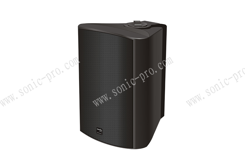 北京IP40S IP网络POE塑料音箱
