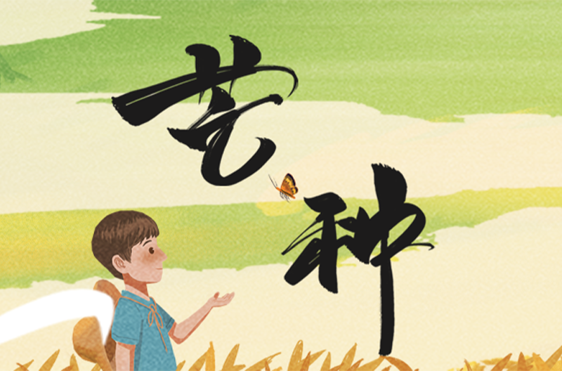 北京二十四节气 | 芒种