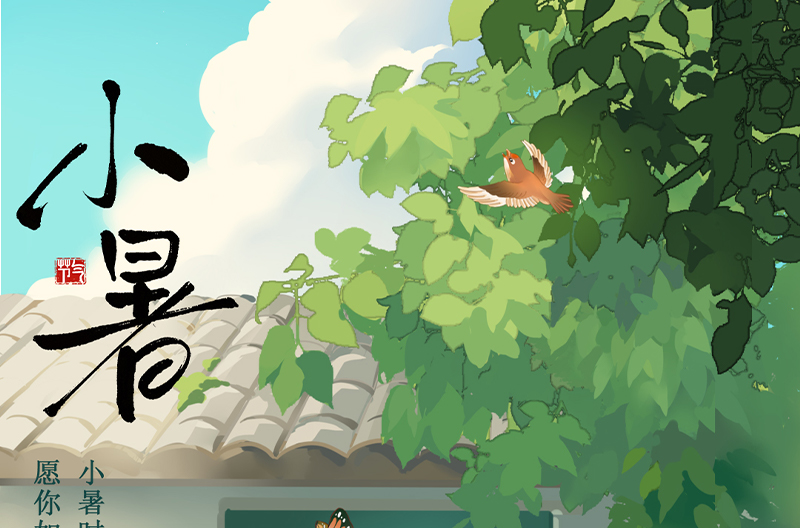 北京小暑|悄然北京小暑至，悠悠盛夏始
