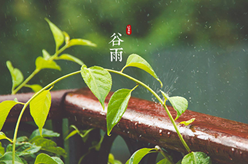 北京谷雨时节丨万物生长
