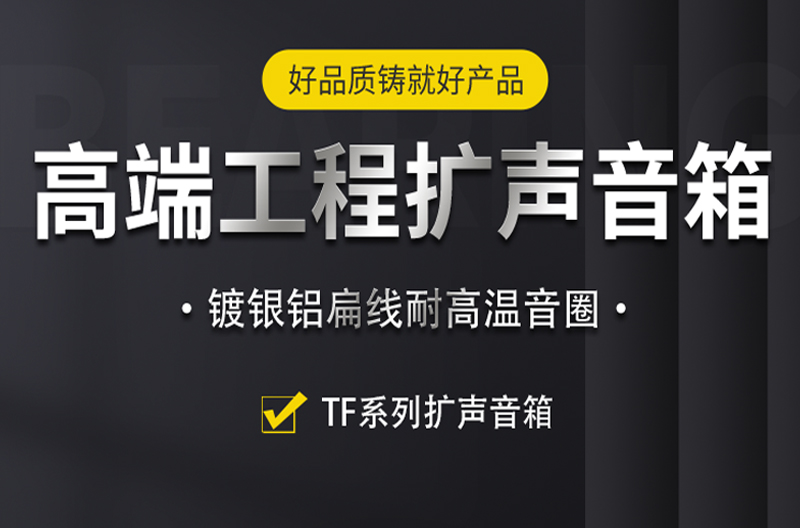 北京TF系列高端工程扩声系列音箱
