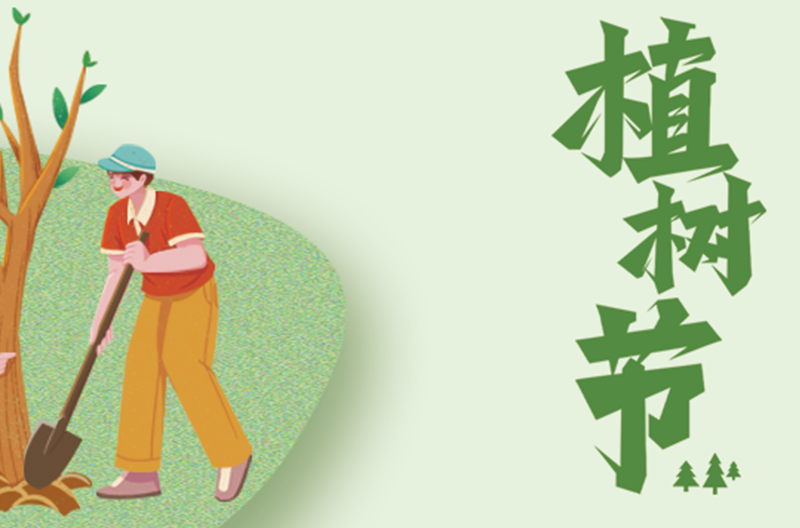 北京3.12植树节|栽种生命的绿意，点亮自然的微光